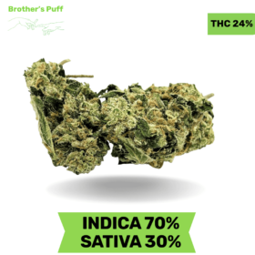 Organic Zkittles AAA