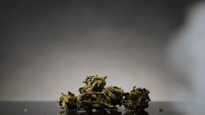 Kootenay Labs Shatter | 1G