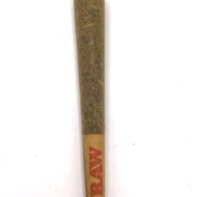 1G Pre Roll (Hybrid) | 1 pc