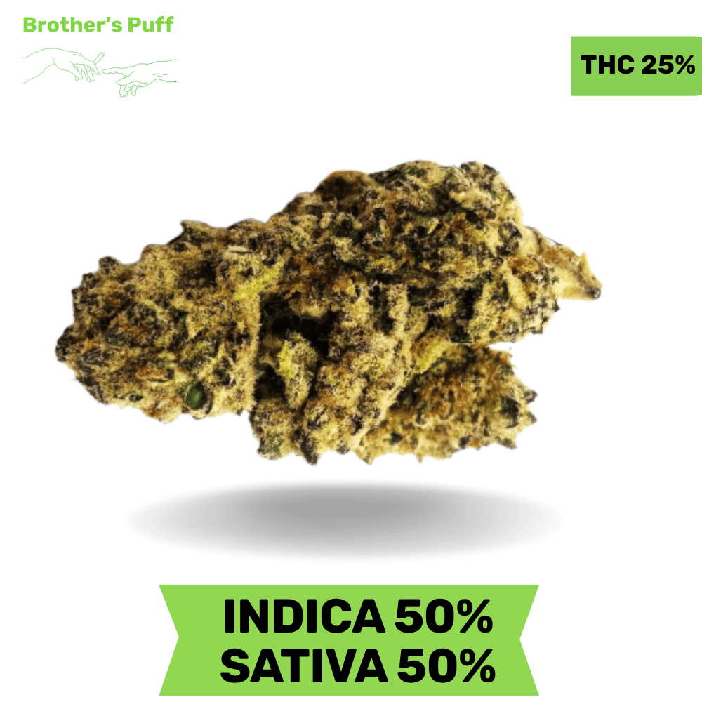 Mac Burger AAA+ Mac Burger AAA+