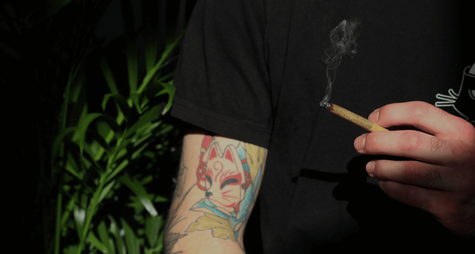 %Dispensary online% 1 5