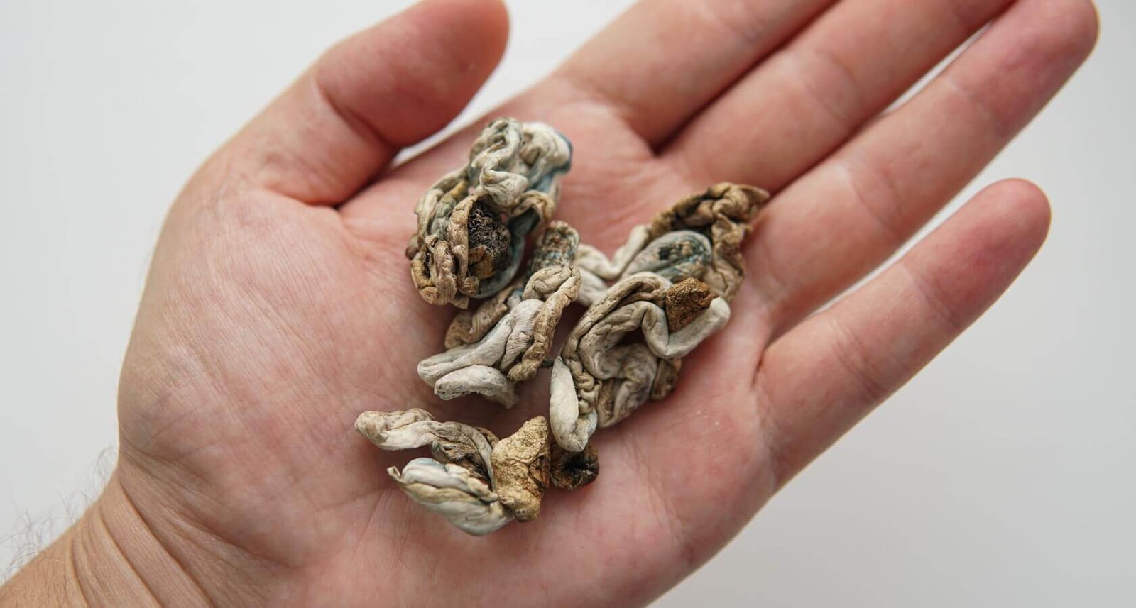 %Dispensary online% 32 3