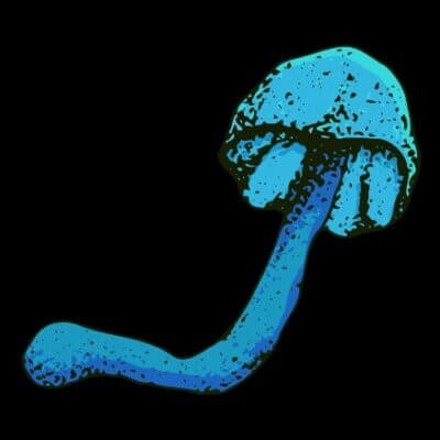 %Dispensary online% 29 5