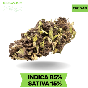 Big Bud AA Super 3 Oz Deal