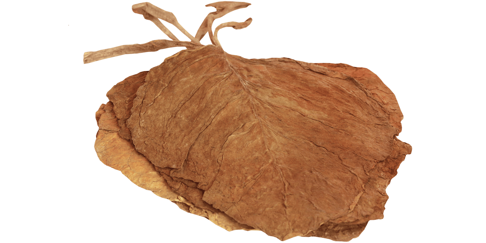 %Dispensary online% 34 ‘ 8 2