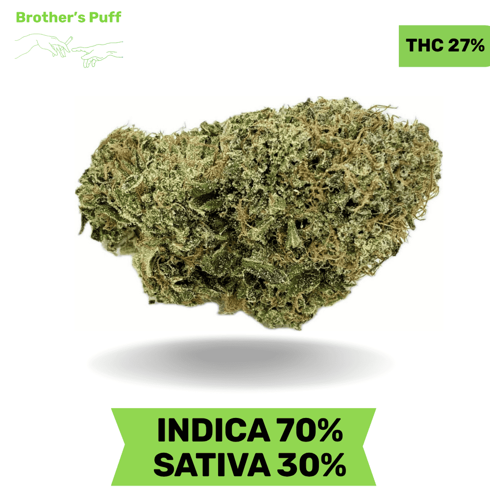 Ultra Pink AAAA Ultra Pink AAAA