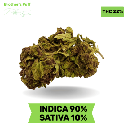 Northern Lights AA+ 3 Oz Deal