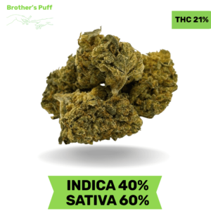 Zprite AA+ Zprite AA+