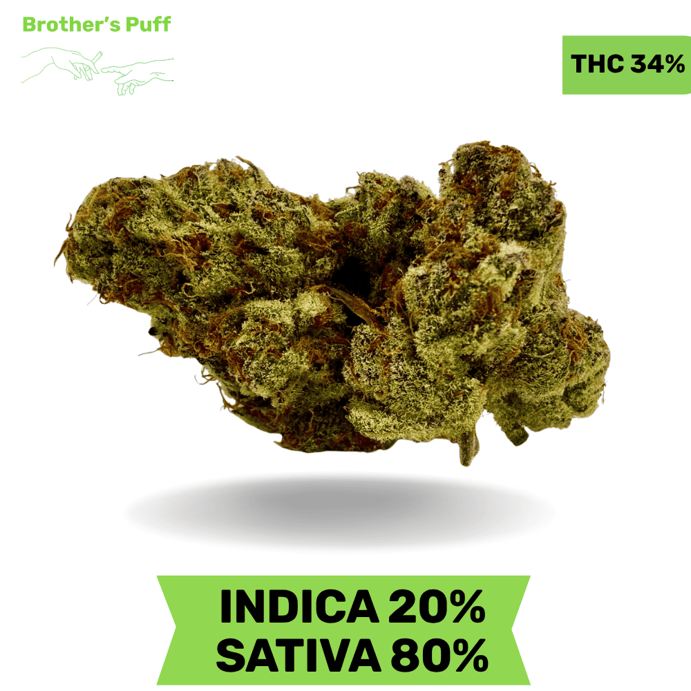 Sugar Mints AAAA+ Sugar Mints AAAA+