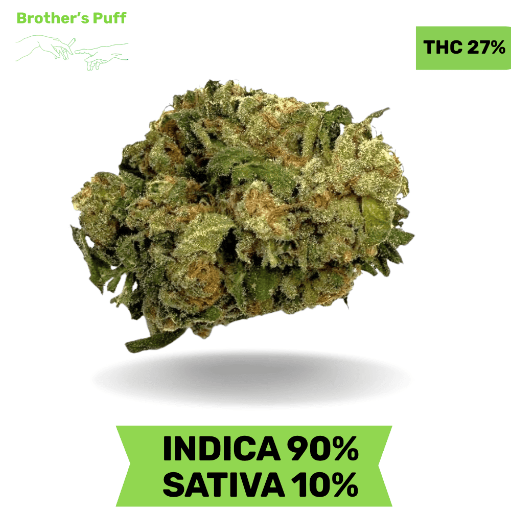 Permanent Pink AAAA SALE Permanent Pink AAAA SALE