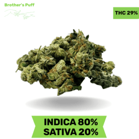 Organic Garry El Jefe smalls AAAA (SUPER DEAL)