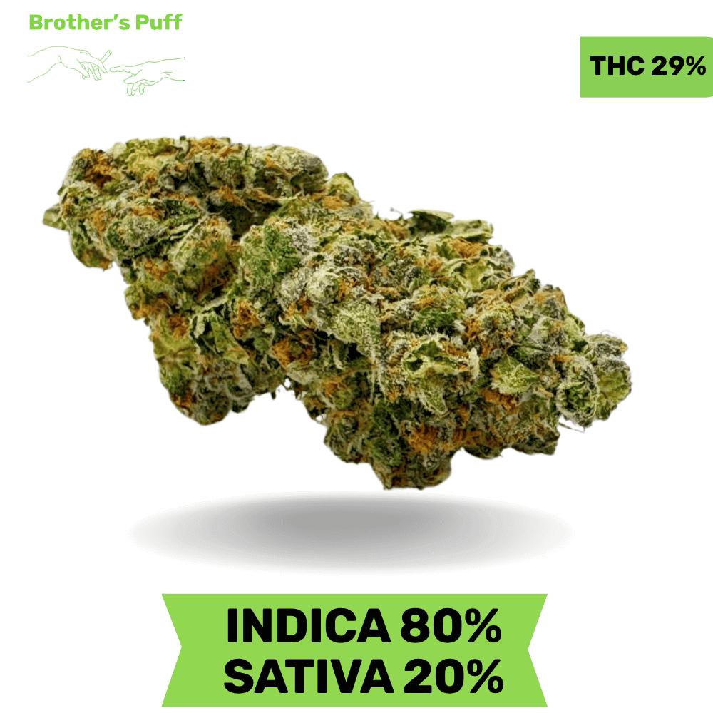 Organic Garry El Jefe AAAA Organic Garry El Jefe AAAA