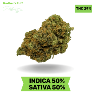 Storm Extracts Disposable Vape Cartridges 1G Sale