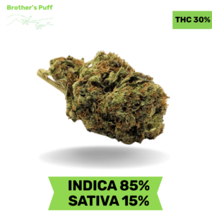 Armani Rockstar AAAA+