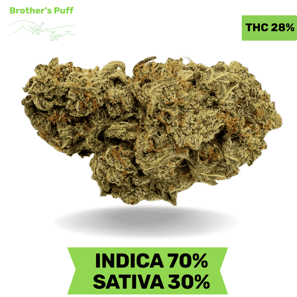 Black Bart AAAA Black Bart AAAA