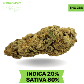 Black Cherry Soda AAAA Sativa