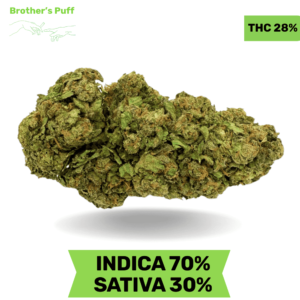 Peruvian Passion AAA+