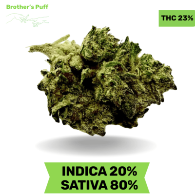 Super Silver Haze AAA Sativa