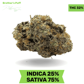 Strawberry Shortcake AAAA+