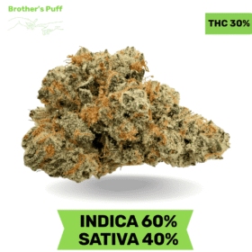 Animal Sherbet AAAA+