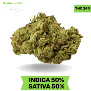 Cream Puff AAA 3.oZ Deal