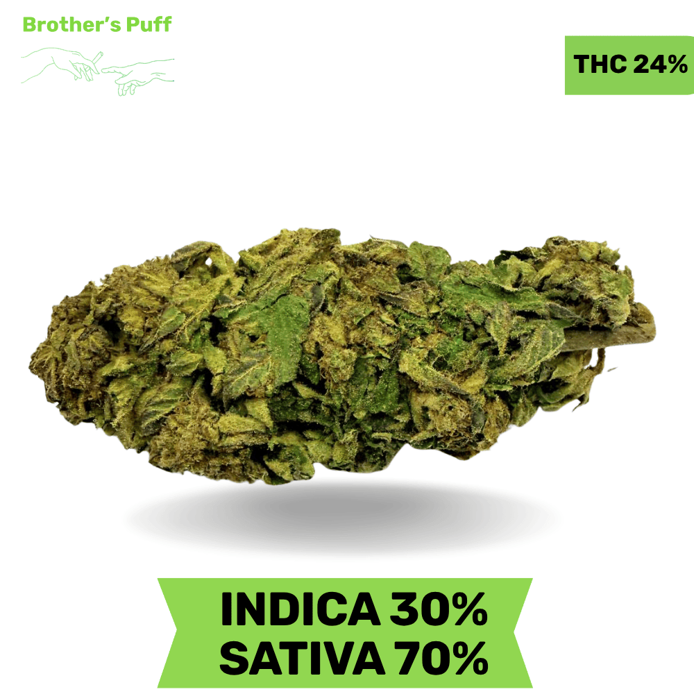 Jet Fuel AAA 3.oZ Deal Jet Fuel AAA 3.oZ Deal