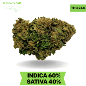 Gorilla Glue AAA 3.oZ Deal