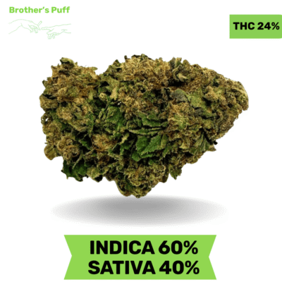 Gorilla Glue AAA 3.oZ Deal