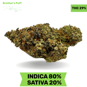 Motorbreath AAAA