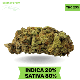 Great White Shark AAA 3.oZ Deal