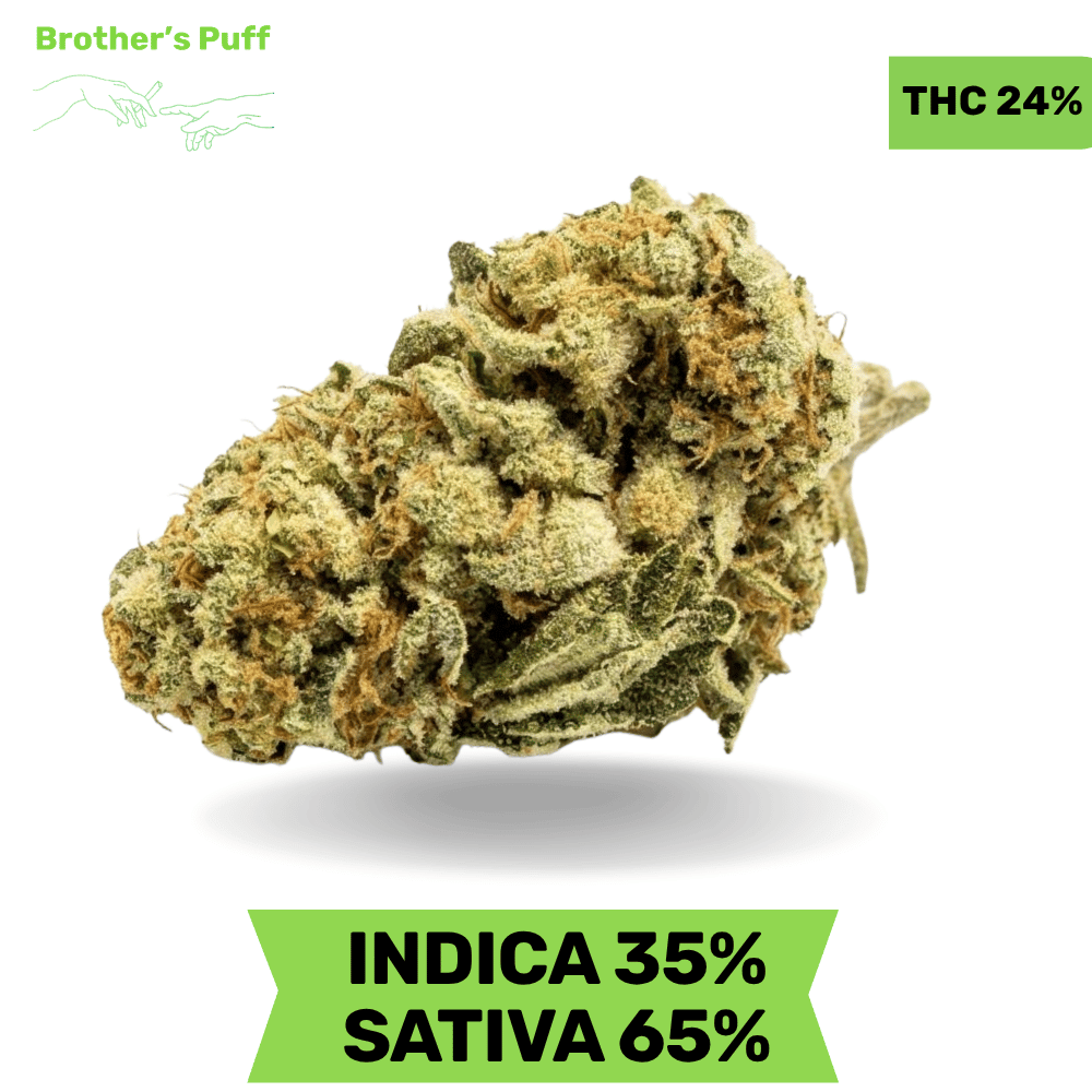 BC Big Bud AAA 3.oZ BC Big Bud AAA 3.oZ