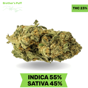 Chemdawg AAA+